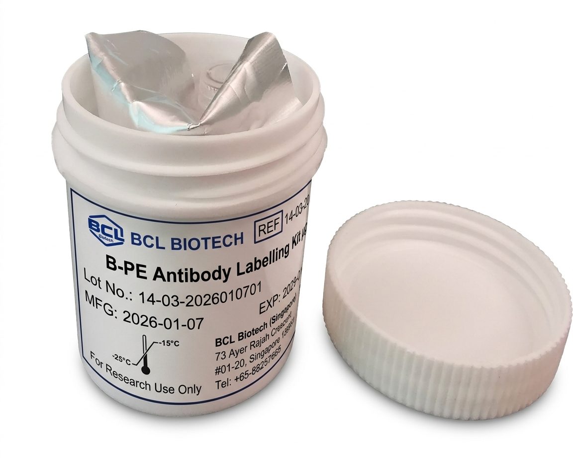 B-PE Antibody Labelling Kit